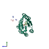 PDB entry 2c4w coloured by chain, side view.