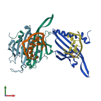 PDB entry 2c4y coloured by chain, front view.
