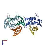 PDB entry 2c4z coloured by chain, top view.