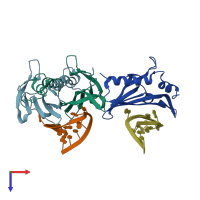 PDB entry 2c50 coloured by chain, top view.