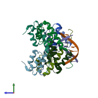 PDB entry 2c5r coloured by chain, side view.