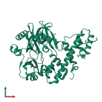 RNA ligase 1 in PDB entry 2c5u, assembly 1, front view.