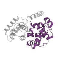The deposited structure of PDB entry 2c5x contains 2 copies of Pfam domain PF02984 (Cyclin, C-terminal domain) in Cyclin-A2. Showing 1 copy in chain B.