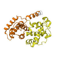 The deposited structure of PDB entry 2c5x contains 4 copies of SCOP domain 47955 (Cyclin) in Cyclin-A2. Showing 2 copies in chain B.