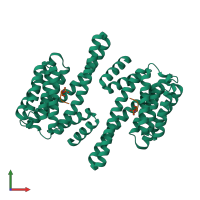 Hetero tetrameric assembly 1 of PDB entry 2c63 coloured by chemically distinct molecules, front view.