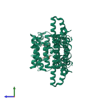 Hetero tetrameric assembly 1 of PDB entry 2c63 coloured by chemically distinct molecules, side view.