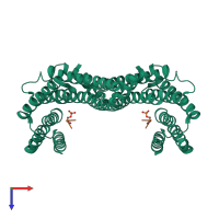 Hetero tetrameric assembly 1 of PDB entry 2c63 coloured by chemically distinct molecules, top view.