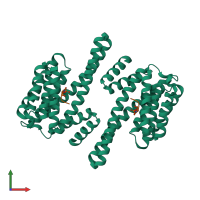 Hetero tetrameric assembly 2 of PDB entry 2c63 coloured by chemically distinct molecules, front view.