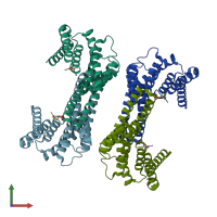PDB entry 2c63 coloured by chain, front view.