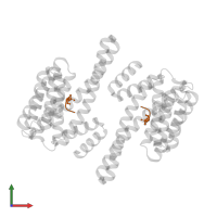CONSENSUS PEPTIDE FOR 14-3-3 PROTEINS in PDB entry 2c63, assembly 1, front view.