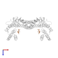 CONSENSUS PEPTIDE FOR 14-3-3 PROTEINS in PDB entry 2c63, assembly 1, top view.