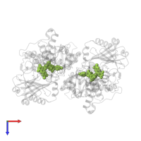 FLAVIN-ADENINE DINUCLEOTIDE in PDB entry 2c64, assembly 1, top view.