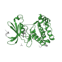The deposited structure of PDB entry 2c6d contains 1 copy of Pfam domain PF00069 (Protein kinase domain) in Aurora kinase A. Showing 1 copy in chain A.