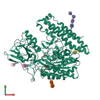 PDB entry 2c6g coloured by chain, front view.