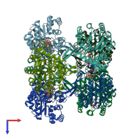 PDB entry 2c6q coloured by chain, top view.