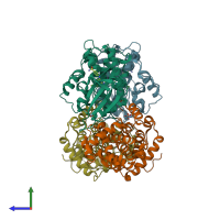 PDB entry 2c6t coloured by chain, side view.