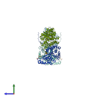 PDB entry 2c6x coloured by chain, side view.