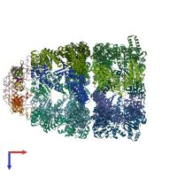 PDB entry 2c7d coloured by chain, top view.