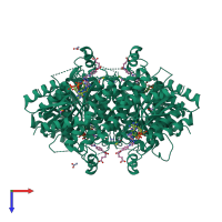 Homo tetrameric assembly 1 of PDB entry 2c7v coloured by chemically distinct molecules, top view.