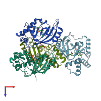 PDB entry 2c8c coloured by chain, top view.