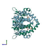 PDB entry 2c8u coloured by chain, side view.