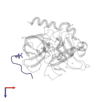 Hirudin variant-2 in PDB entry 2c8x, assembly 1, top view.