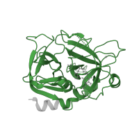 The deposited structure of PDB entry 2c93 contains 1 copy of Pfam domain PF00089 (Trypsin) in Thrombin heavy chain. Showing 1 copy in chain B.