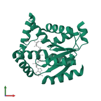 Adenylate kinase isoenzyme 1 in PDB entry 2c95, assembly 1, front view.