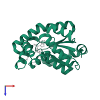 Adenylate kinase isoenzyme 1 in PDB entry 2c95, assembly 1, top view.