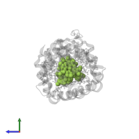 CHLOROPHYLL A in PDB entry 2c9e, assembly 1, side view.