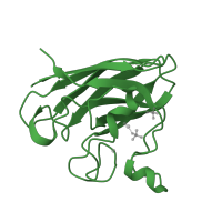 The deposited structure of PDB entry 2c9u contains 2 copies of SCOP domain 49330 (Cu,Zn superoxide dismutase-like) in Superoxide dismutase [Cu-Zn]. Showing 1 copy in chain A.