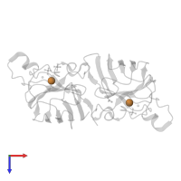 COPPER (II) ION in PDB entry 2c9u, assembly 1, top view.