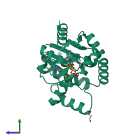 PDB entry 2c9y coloured by chain, side view.