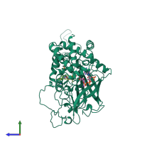 PDB entry 2cah coloured by chain, side view.