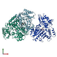 PDB entry 2can coloured by chain, front view.