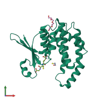 PDB entry 2caq coloured by chain, front view.