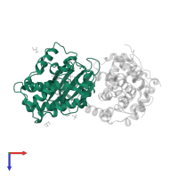 Cyclin-dependent kinase 2 in PDB entry 2cch, assembly 1, top view.