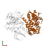 Cyclin-A2 in PDB entry 2cch, assembly 1, front view.