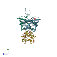 PDB entry 2ccl coloured by chain, side view.