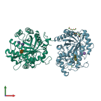 PDB entry 2ccr coloured by chain, front view.