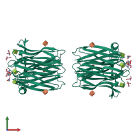 Homo hexameric assembly 1 of PDB entry 2ccv coloured by chemically distinct molecules, front view.