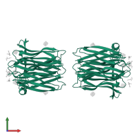 H-type lectin domain-containing protein in PDB entry 2ccv, assembly 1, front view.
