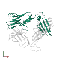 INKT-TCR in PDB entry 2cde, assembly 1, front view.