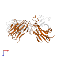 T cell receptor beta constant 1 in PDB entry 2cde, assembly 1, top view.