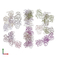 PDB entry 2cdh coloured by chain, front view.