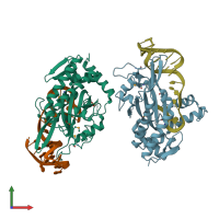 PDB entry 2cdm coloured by chain, front view.