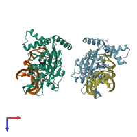PDB entry 2cdm coloured by chain, top view.