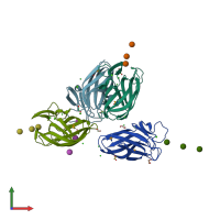 PDB entry 2cdo coloured by chain, front view.