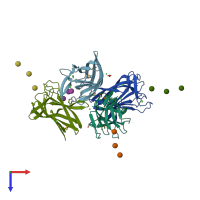 PDB entry 2cdo coloured by chain, top view.