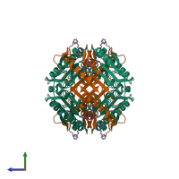 Hetero dodecameric assembly 1 of PDB entry 2cdr coloured by chemically distinct molecules, side view.